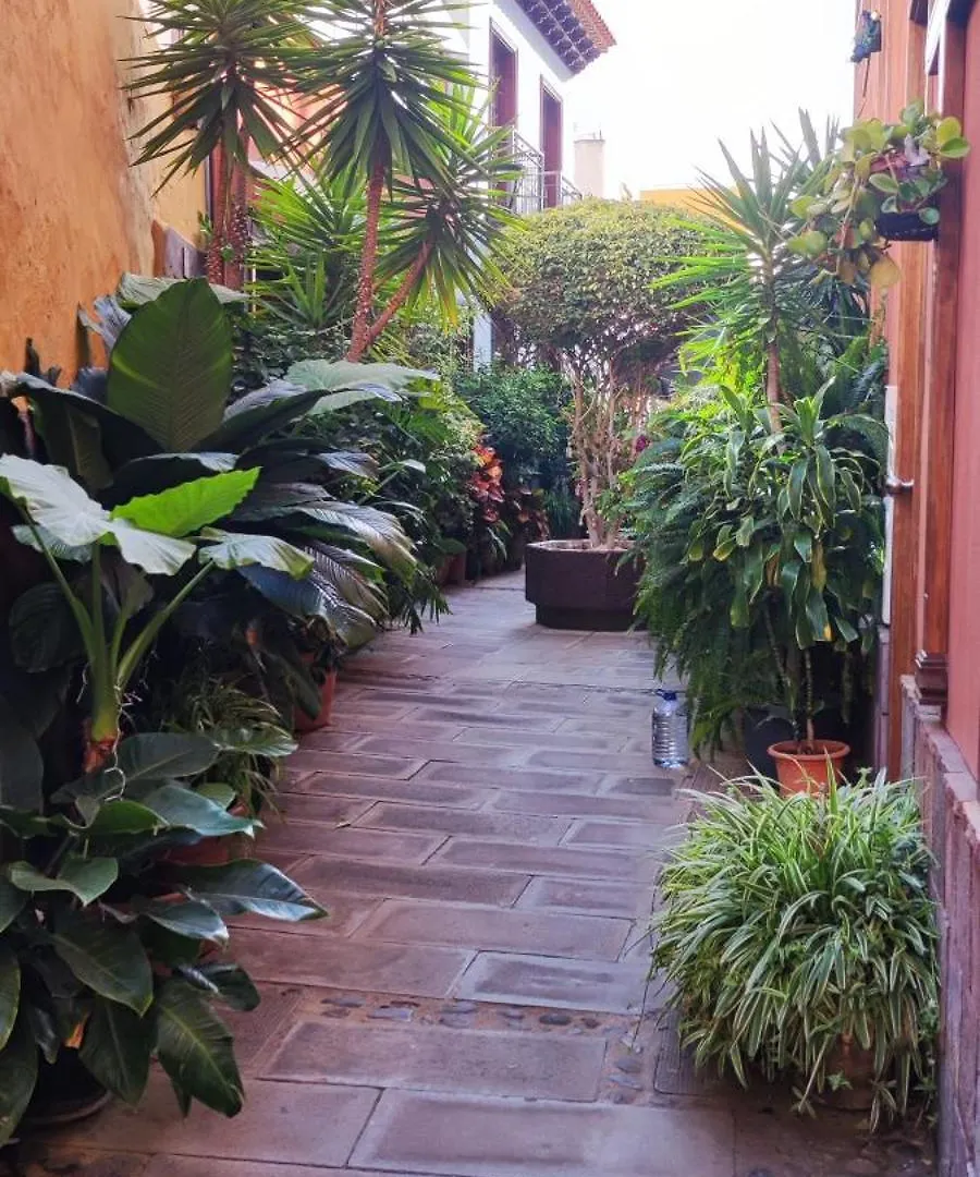 Teideplaya Apartment Puerto de la Cruz   Puerto de la Cruz (Tenerife)